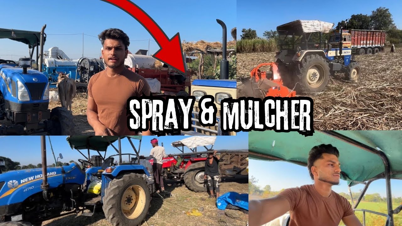 Swaraj On Mulcher 🔥 Sugercan Harvest 
