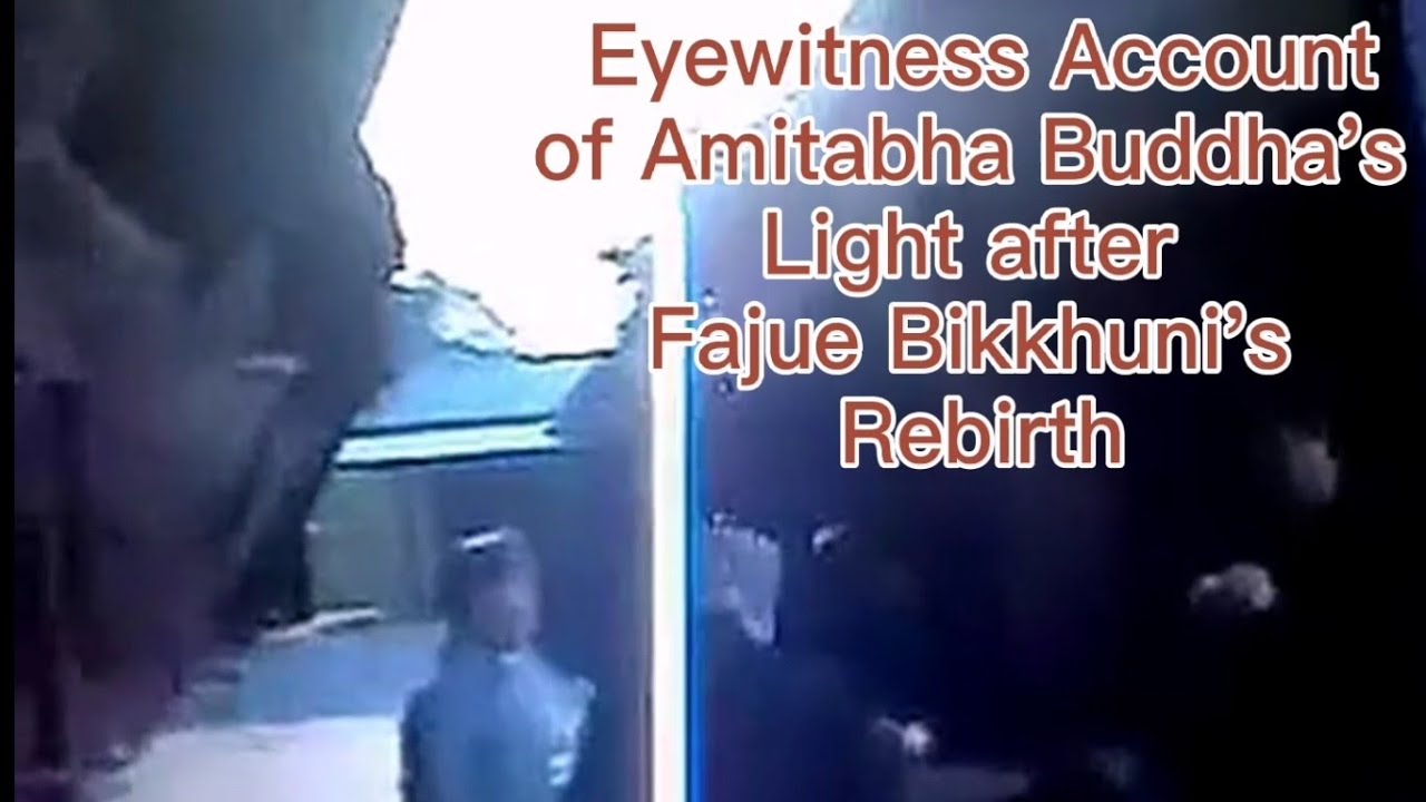 Eye Witness Account of Amitabha Buddha's Light After Bhikshuni Fajue's Rebirth