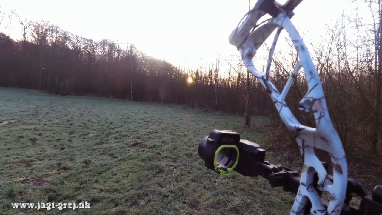 Garmin Xero