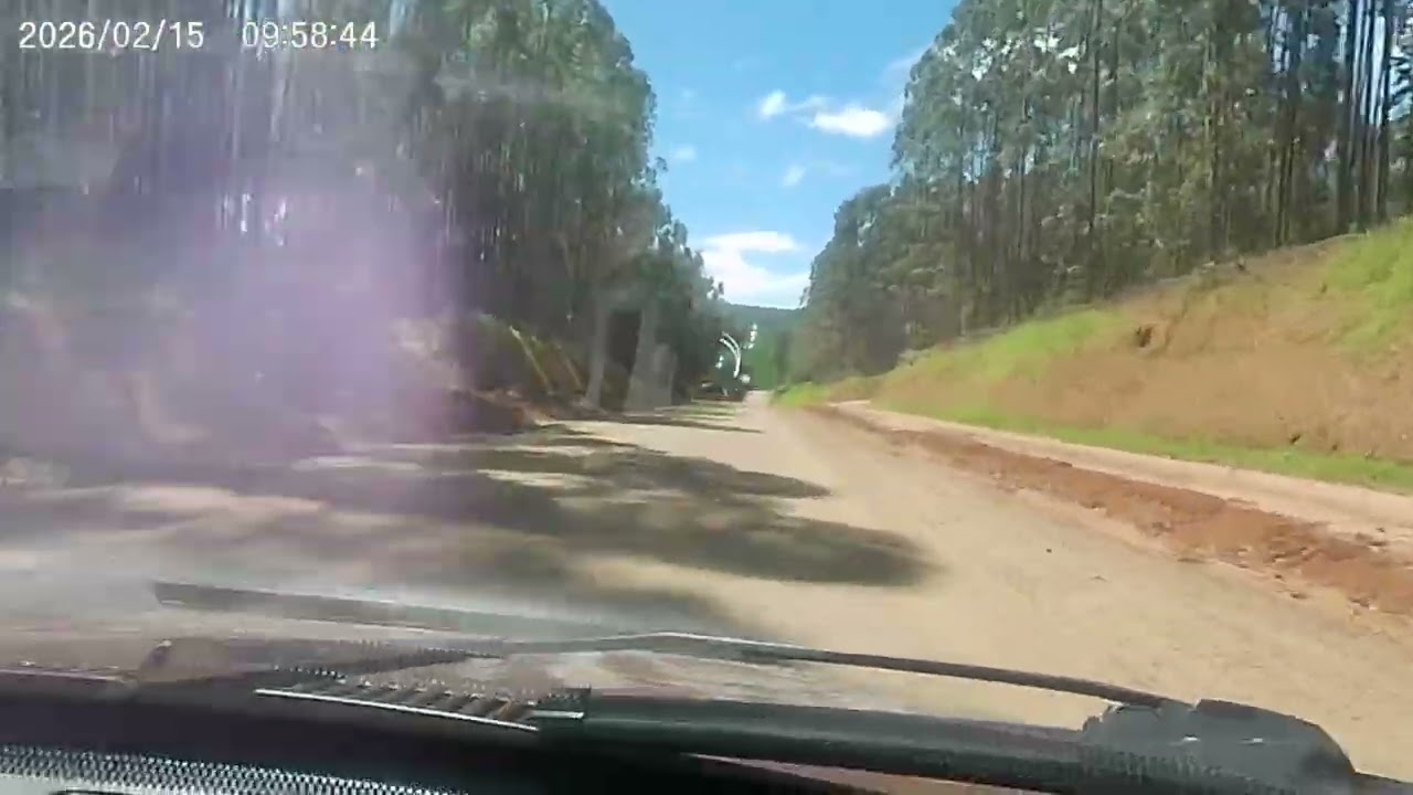 Сегодня был день, когда нужно проявлять любопытство...
