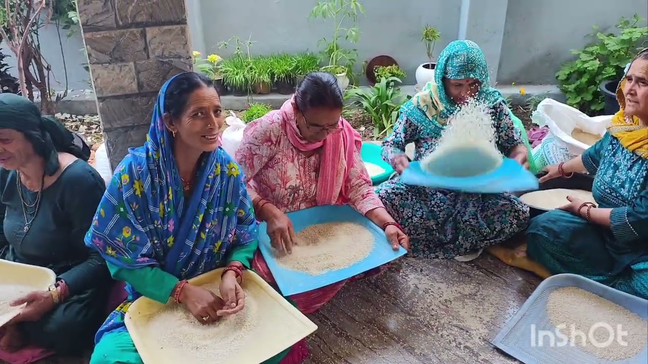 आज शादी के लिए सभी औरतों ने की मिलकर चावल की छंटाई ❤️