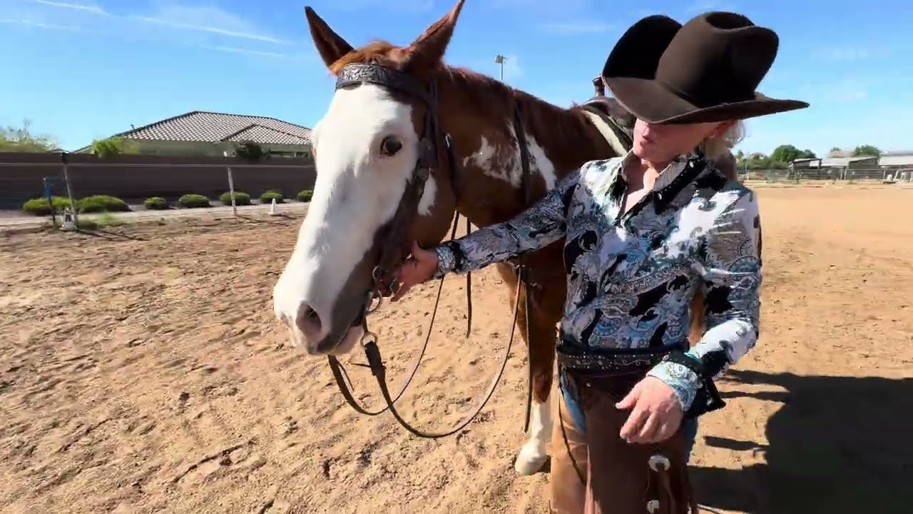 WDAAZ Heart My Horse- Winter Show Entry# 6364 Celebrity Apprentice, BT2-A