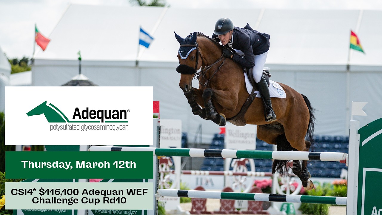 Watch the $116,100 Adequan WEF Challenge Cup CSI4* Rd10