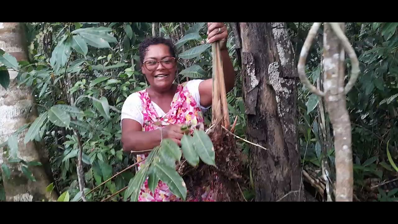 ele  é  minha  segdora pegador planta  na mata