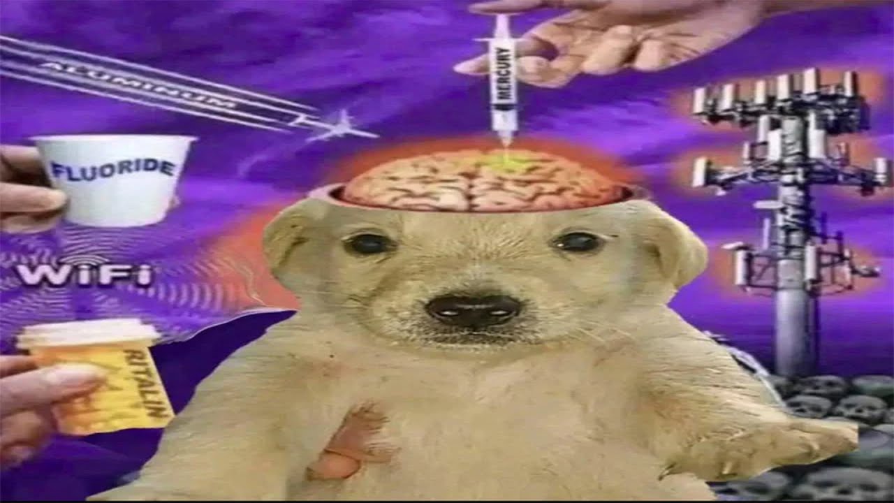 Bronzewatch: The Lobotomy Ward