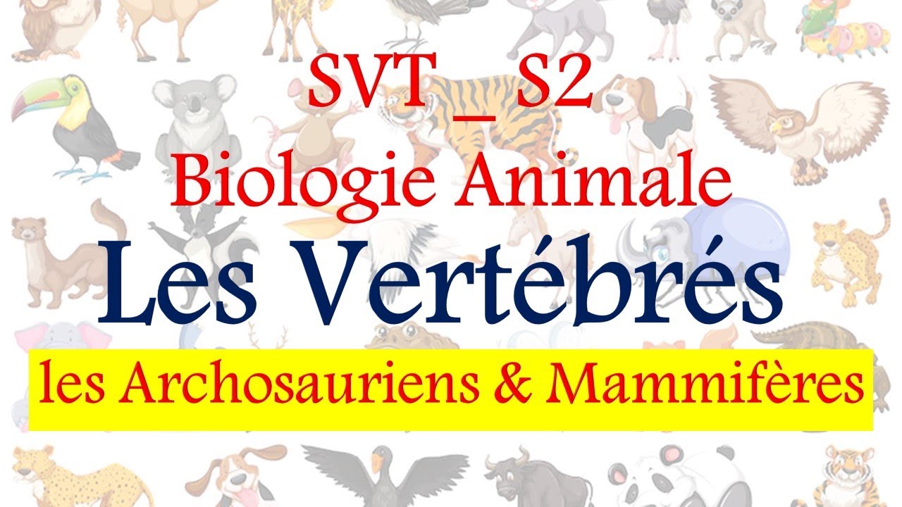 Biologie Animale : les Archosauriens & Mammifères