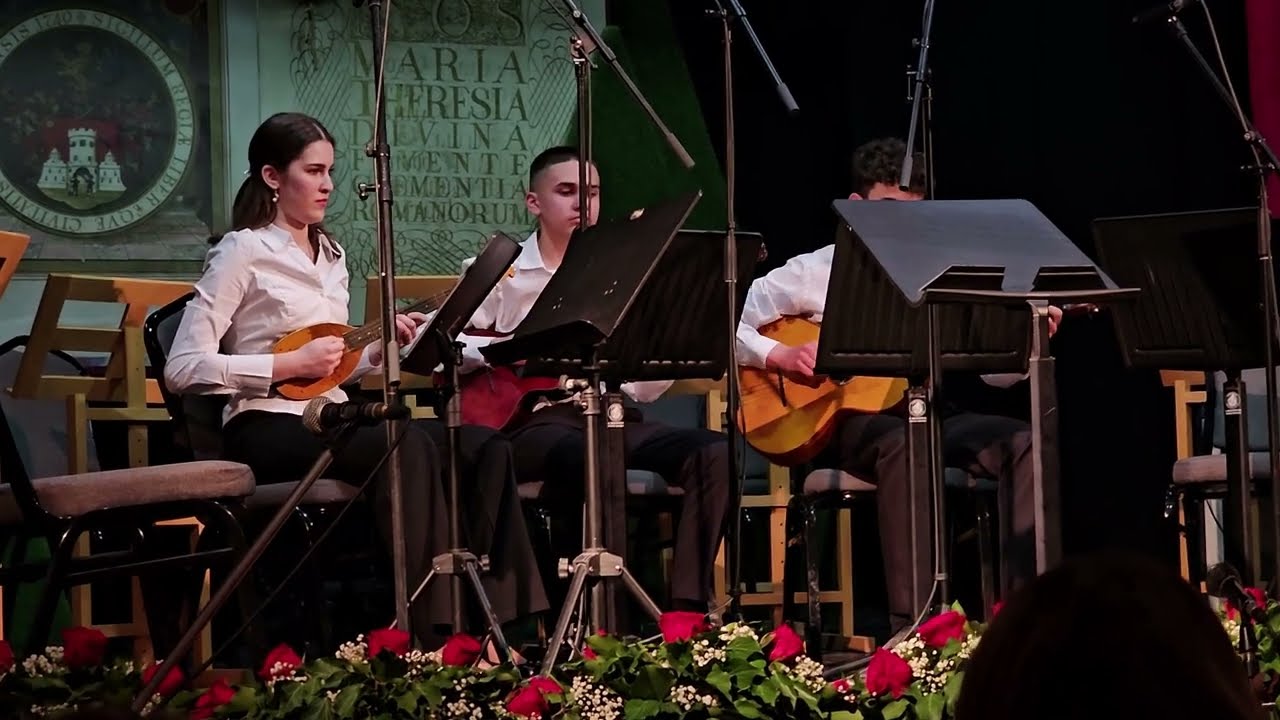 Kamerni trio tambure MŠ 