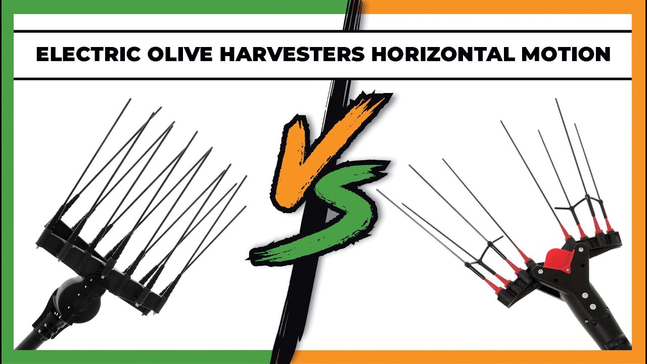 Let's Compare Olive Harvesters with Horizontal Motion ➔ Aima Mirage VS Castellari Vertigo L