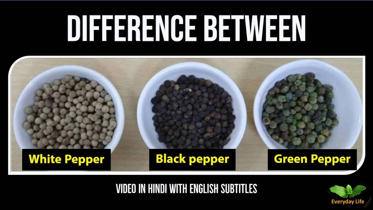 Difference Between White Pepper, Black Pepper & Green Pepper | गोल मिर्चे | Everyday Life # 20