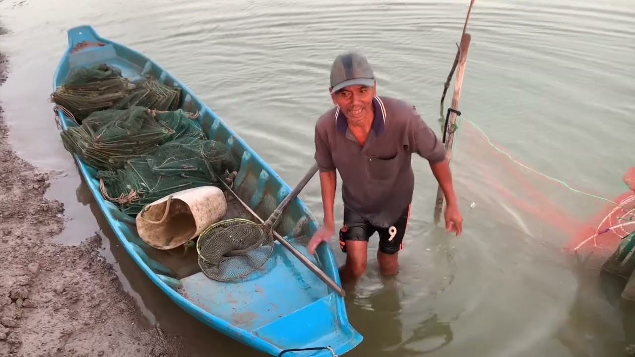 Đổ Lú Đèn Cá Đói Nấu Canh Chua Bữa Cơm Quê Ngon Quá - TVQT.771