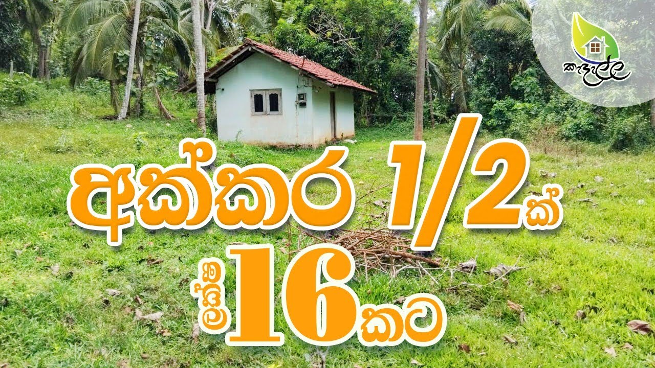   Urgent Land Sale ලකෂ 16ට අක්කර භාගයක ඉඩමක් | කුඩා නිවසක් සමඟ විකිණීමට