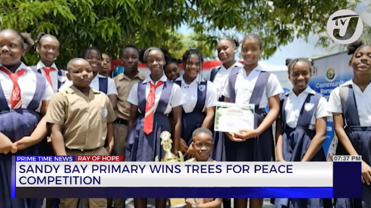 Sandy Bay Primary Wins Trees for Peace Competition | TVJ News