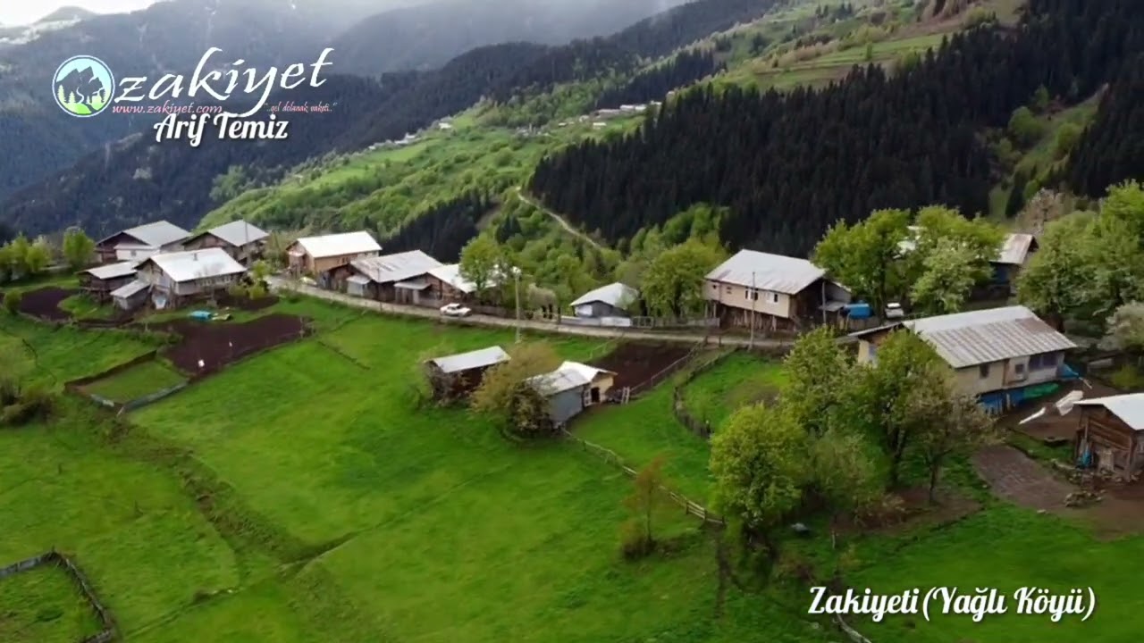 Ve zakiyet yeşili #artvin #şavşat #zakiyet #vaket