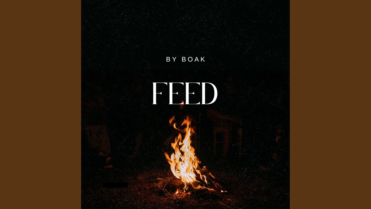 Feed