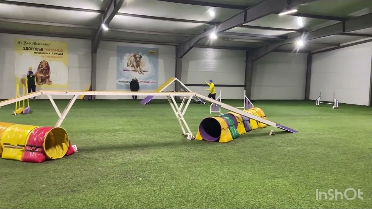 Dog Agility 2026: Lilu’s Silver Run with Dog Walk Drama