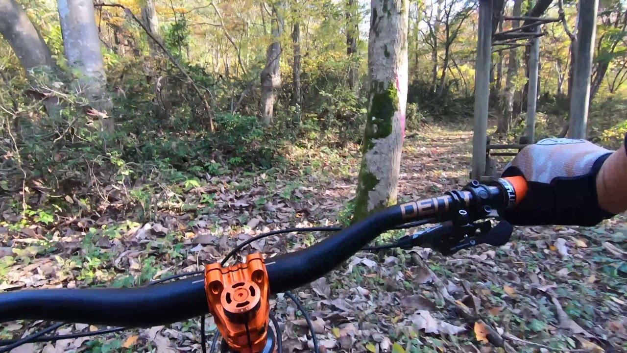 orange bikes P7