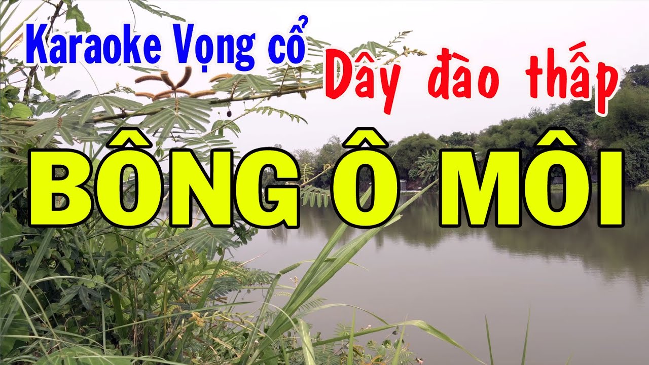 Karaoke vọng cổ BÔNG Ô MÔI - DÂY ĐÀO THẤP