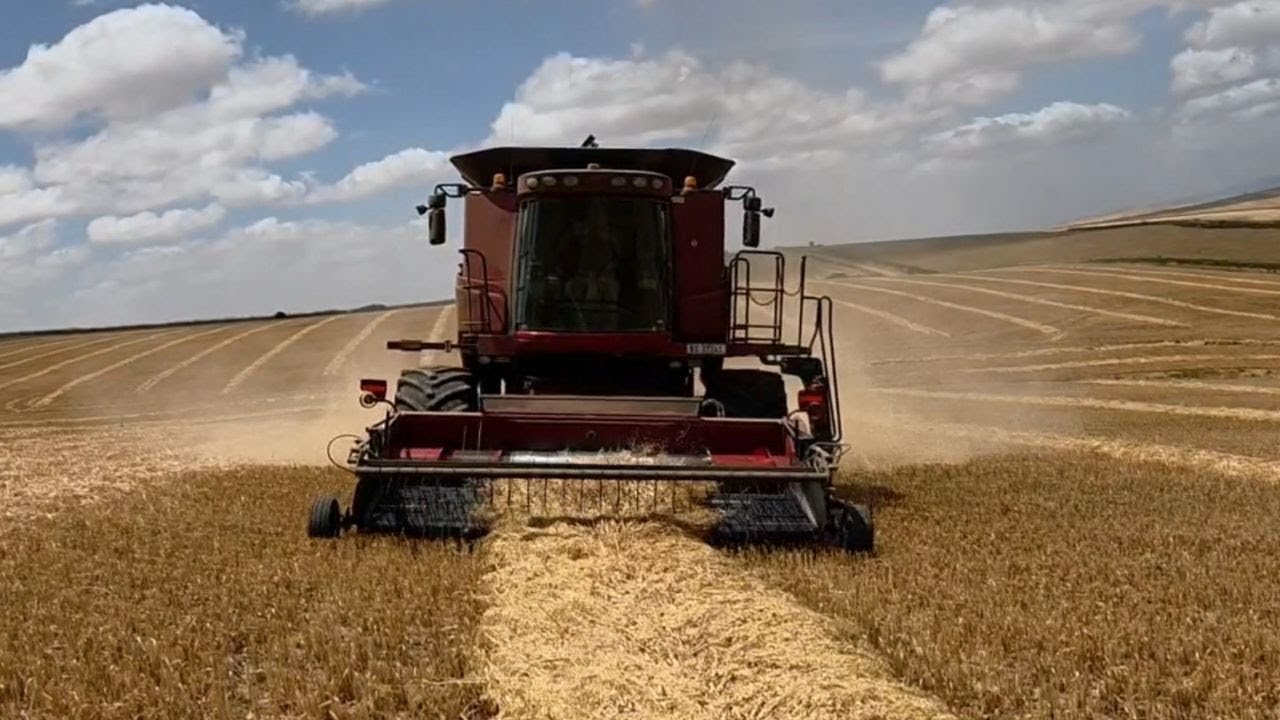 Week 4 And 5 Harvesting Canola, Wheat and Oats.