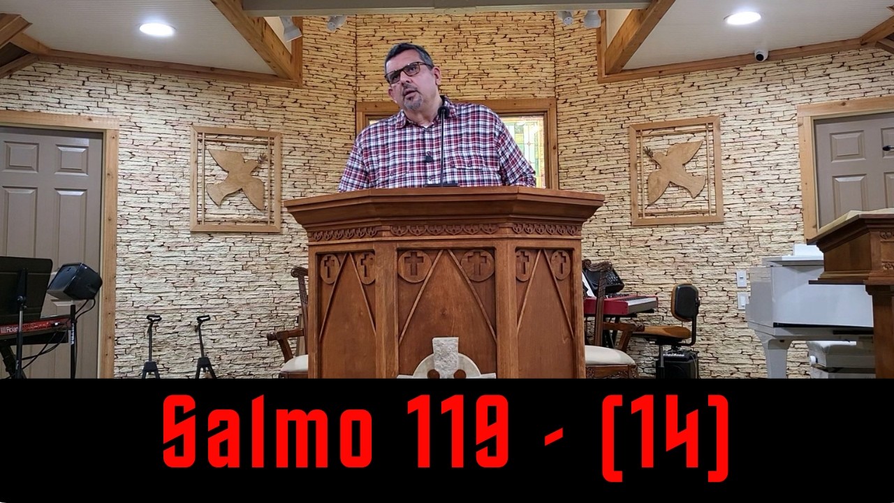 Estudio del Salmo 119 (14)