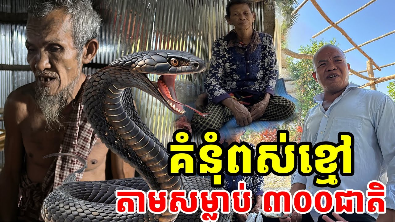 គំនុំនាងពស់ខ្មៅ តាមសម្លា.ប់សងសឹ.ង ៣០០ ជាតិ [ ហនុមាន-Haknuman]
