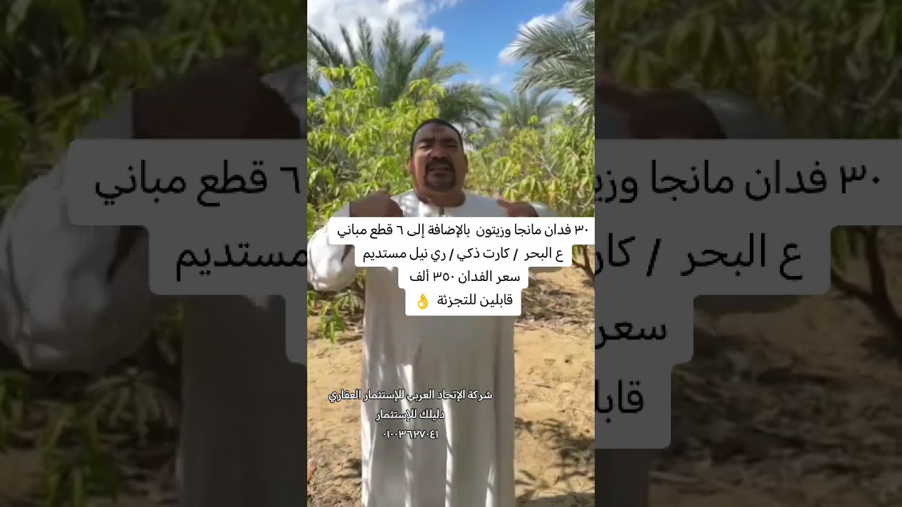 حقق حلمك في الإستثمار مع شركة الإتحاد العربي للإستثمار العقاري 