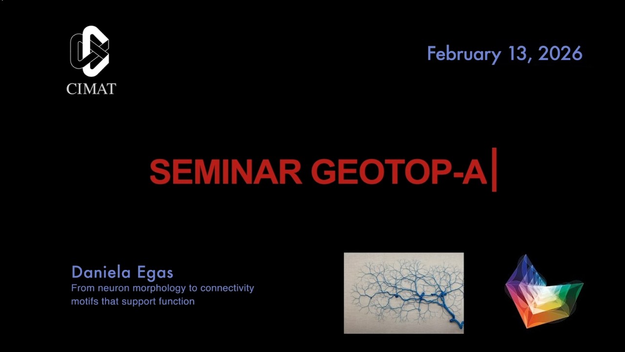 GEOTOP-A | Daniela Egas | From neuron morphology to connectivity motifs that support function