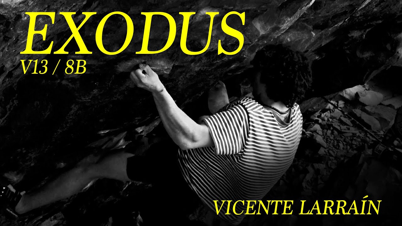Exodus 8B // Vicente Larraín