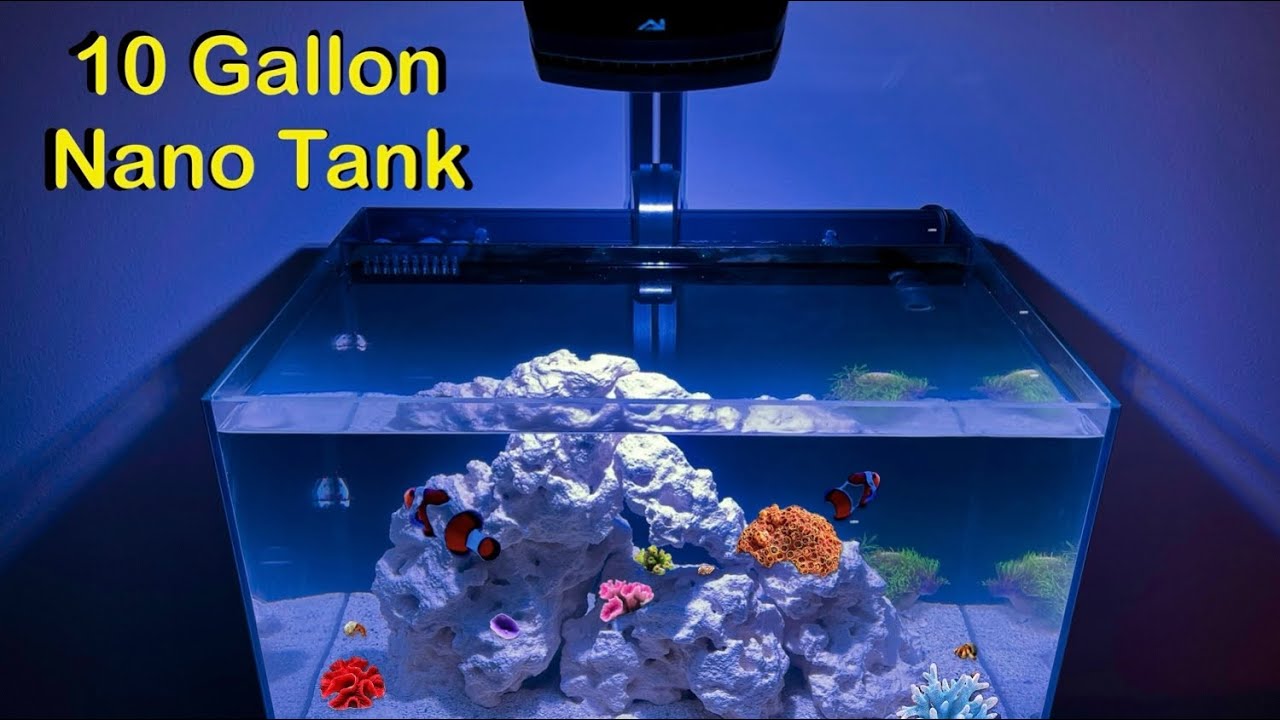 How to Setup a Saltwater Aquarium! (10 Gallon Nano Reef Tank)