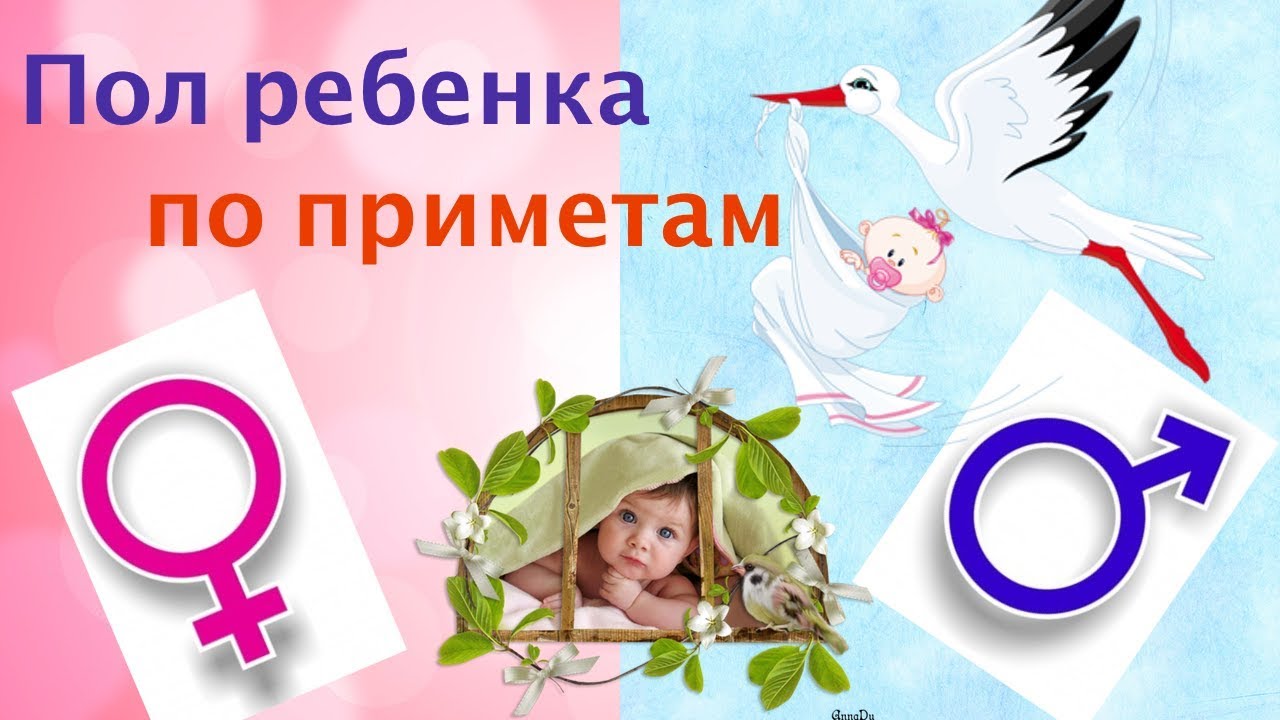 Определяем пол ребёнка по приметам!😊☺️ Мальчик или девочка???