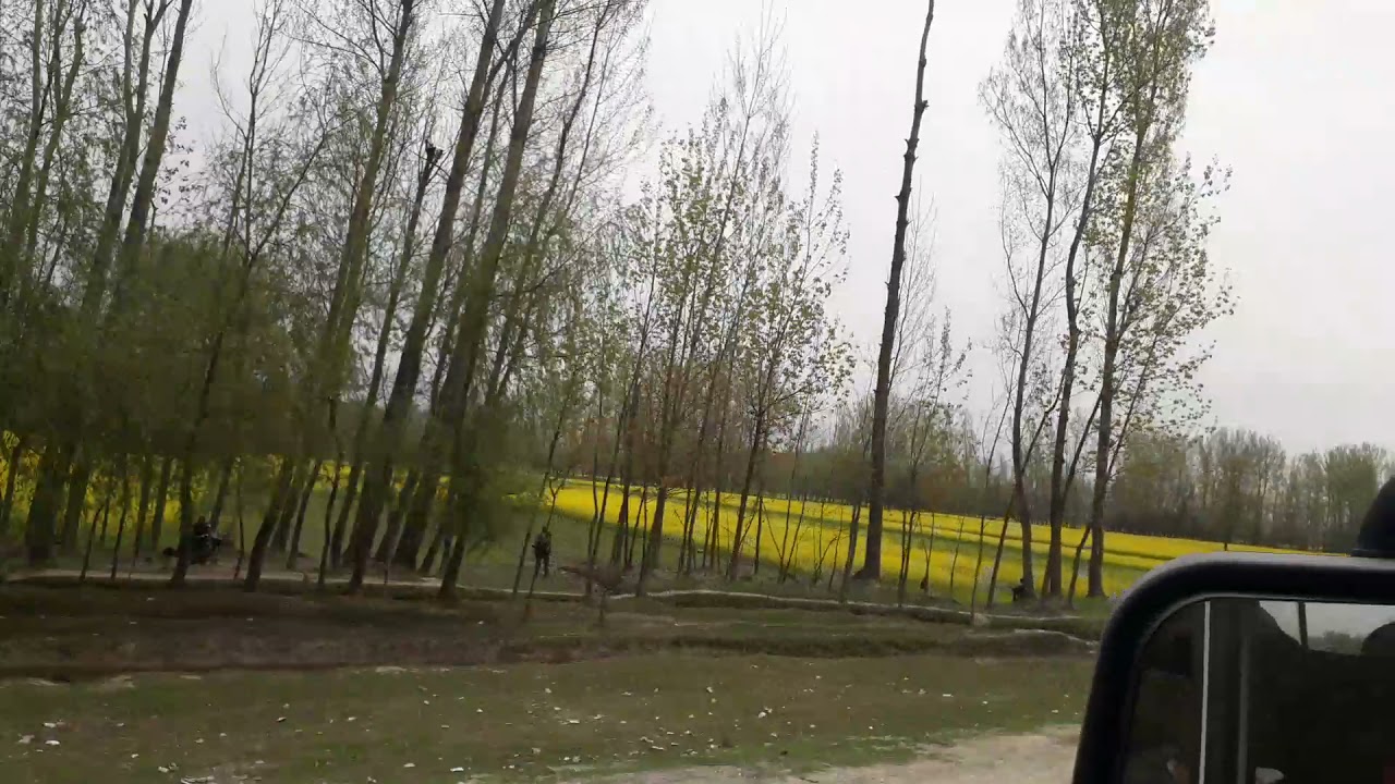 Green Kashmir