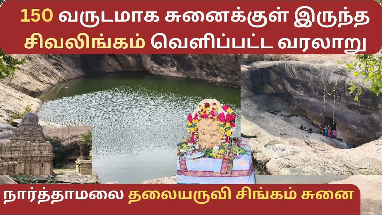 நார்த்தாமலை தலையருவி சிங்கம் சுனை|விஜயாலய சோழச்சுரம்|NarthamalaiTemple|Thalaiyaruvi singam Sunai
