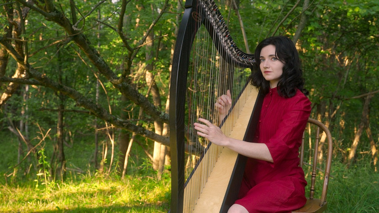 Army Dreamers  |  Kate Bush (Harp Cover)