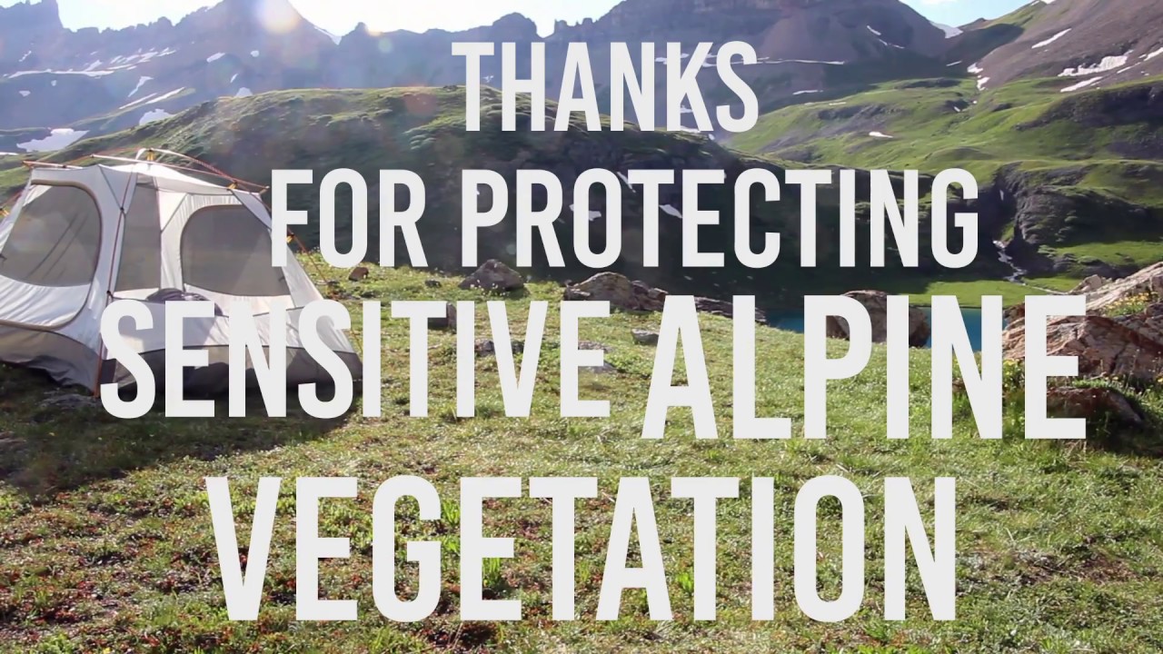 2 Ways to Protect Alpine Environments When Backpacking
