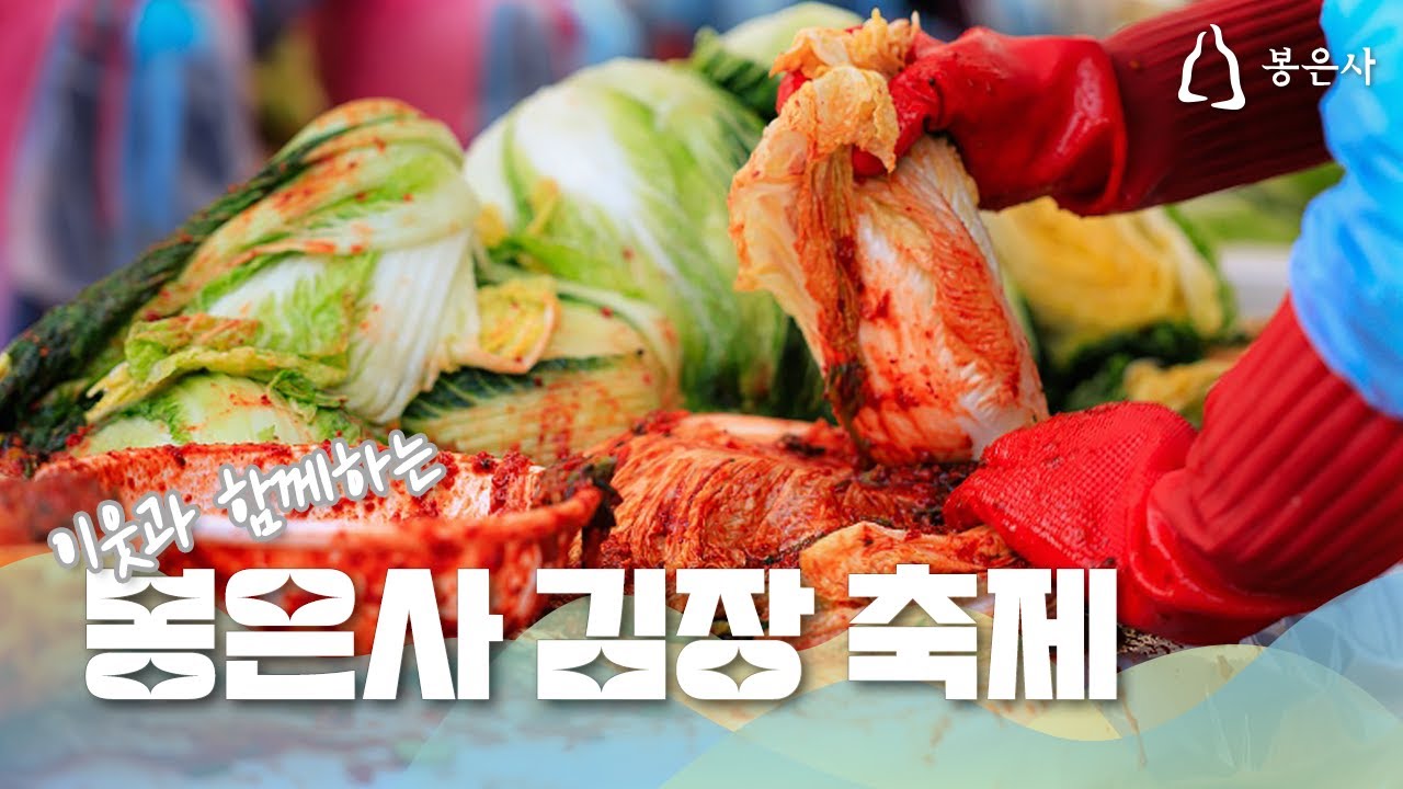 🪷1만 포기 배추에 자비심 가득 담은 김장 울력🙏 2025 봉은사 김장축제🍲