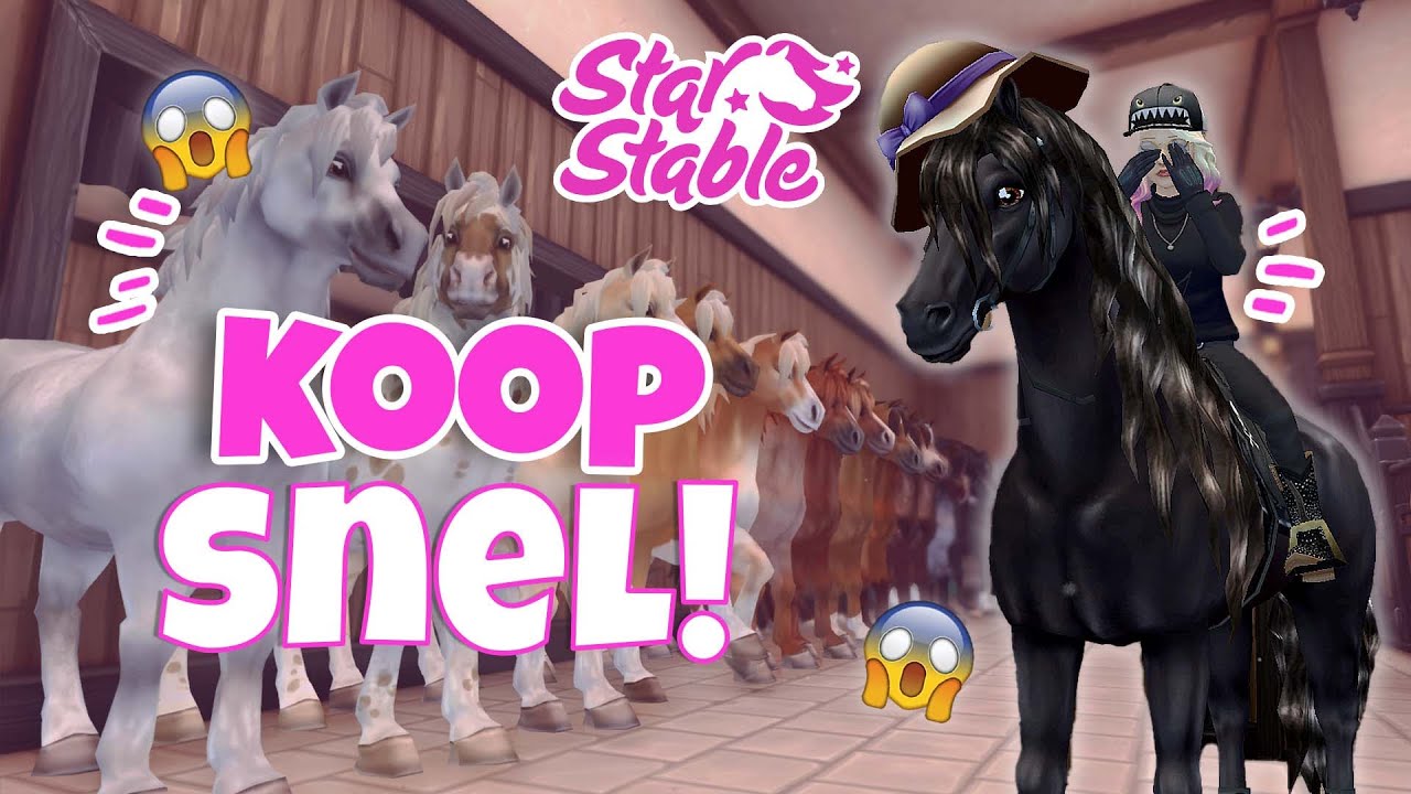 DEZE PAARDEN WORDEN ZELDZAAM, WEES SNEL!! | SSO Paarden kopen (nl)