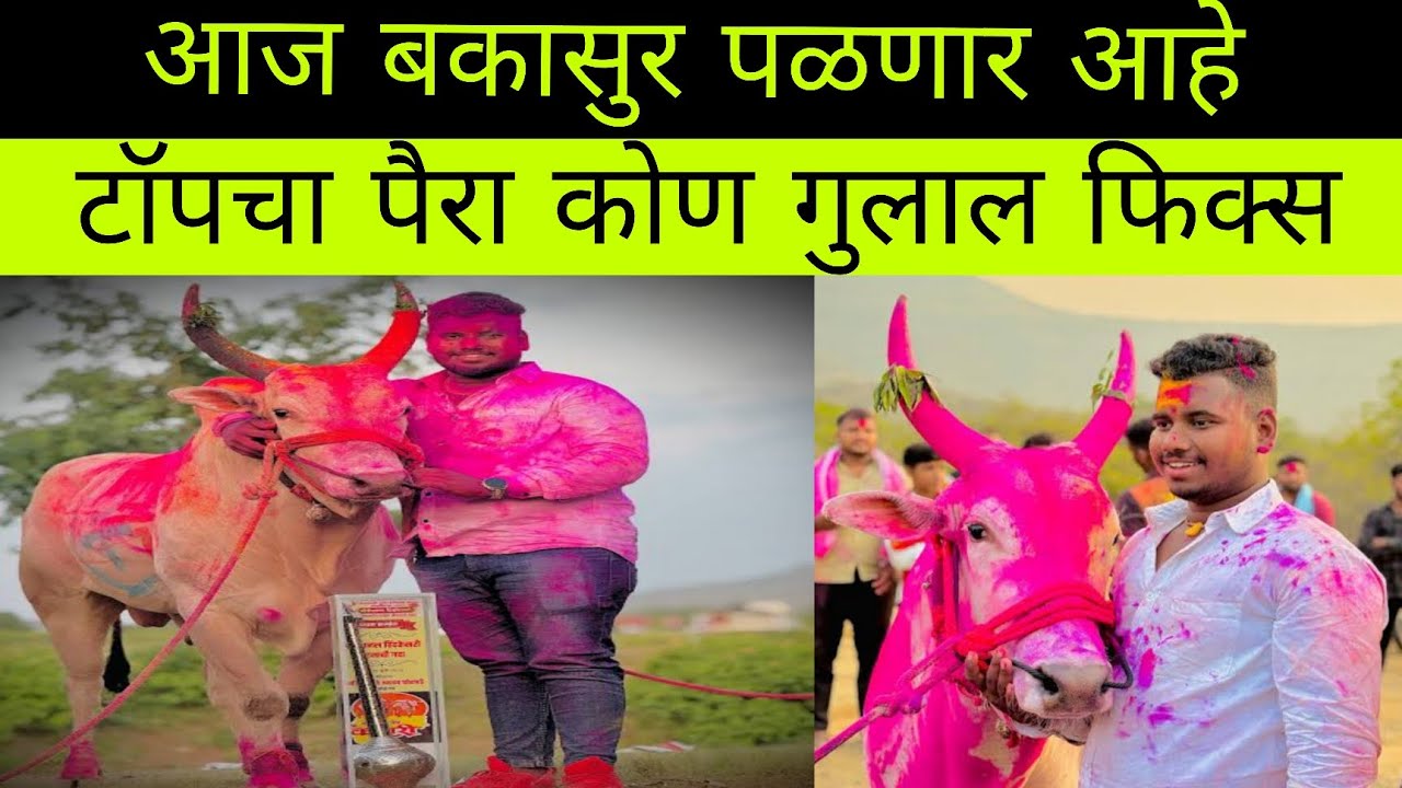 आज बकासुर नागाचे कुमठे ओपन मैदान कुंभेश्वर केसरी मैदानात पळणार आहे पैरा कोण बघा