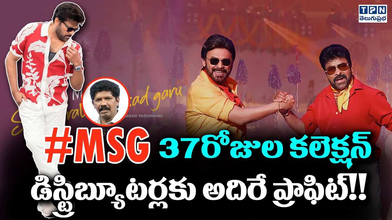 #MSG 37 రోజుల కలెక్షన్ డిస్ట్రిబ్యూటర్లకు అదిరే ప్రాఫిట్! | #MSG Collection Records | Telugu Prabha