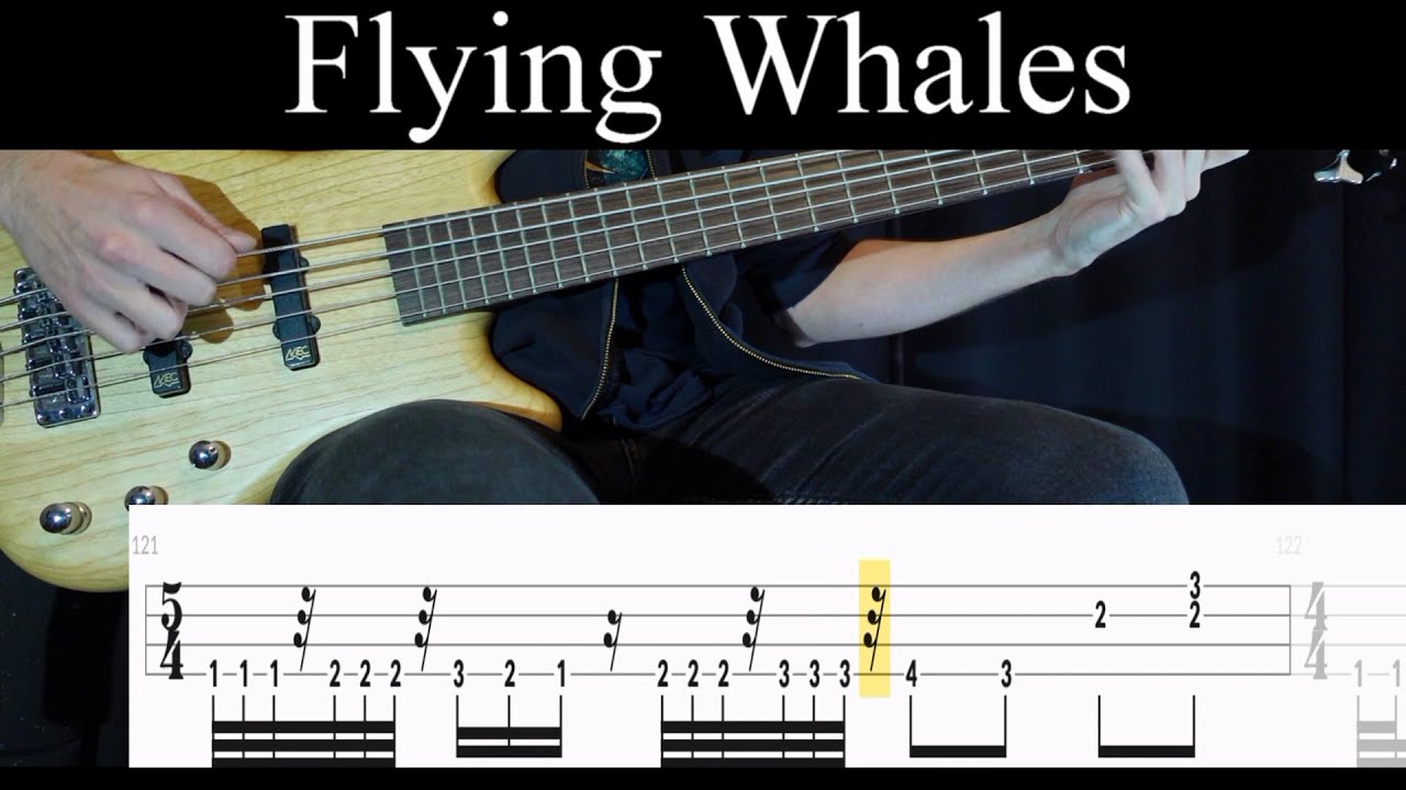 Flying Whales (Gojira) - Bass Cover (With Tabs) by Leo Düzey