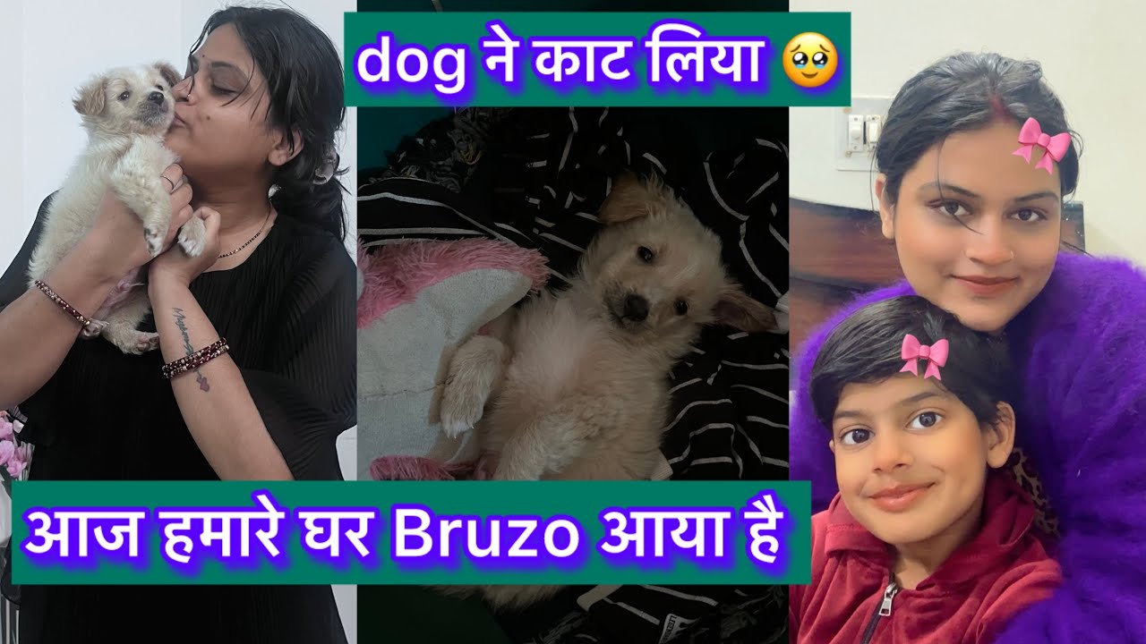 Maine bachho ke sath painting challenge kiya || dog ghar aya ❤️|| bruzo ke sath masti ❤️