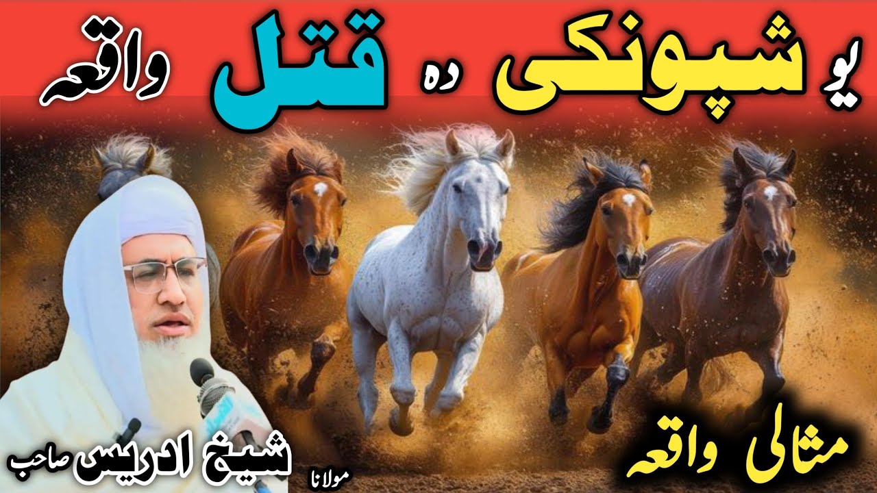 Shpungai Murder Incident | Maulana Sheikh Idrees Speaks / شپونکی دہ قتل واقعہ