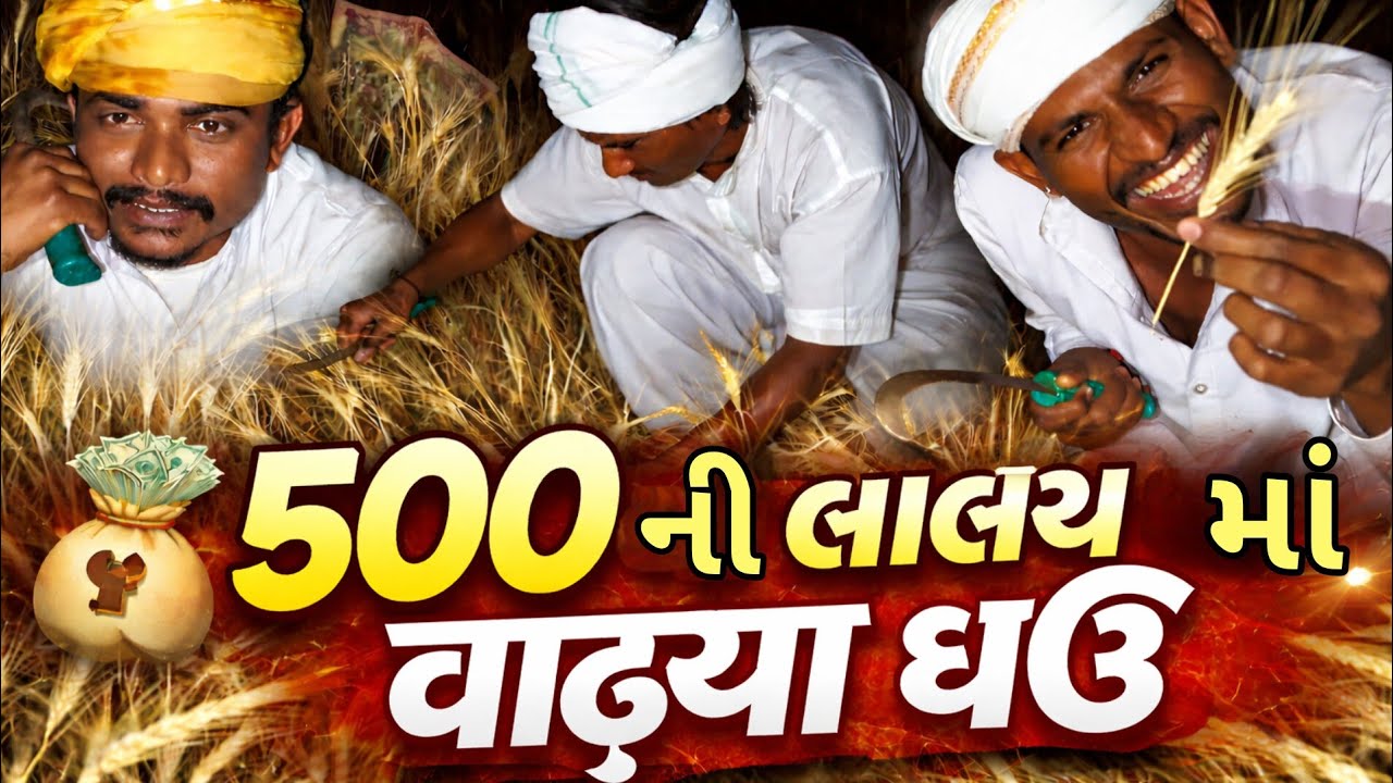500 ની લાલચ માં વાઢ્યા ઘઉં// gujarati comedy video // કોમેડી વિડિઓ // @DesiHungama03 