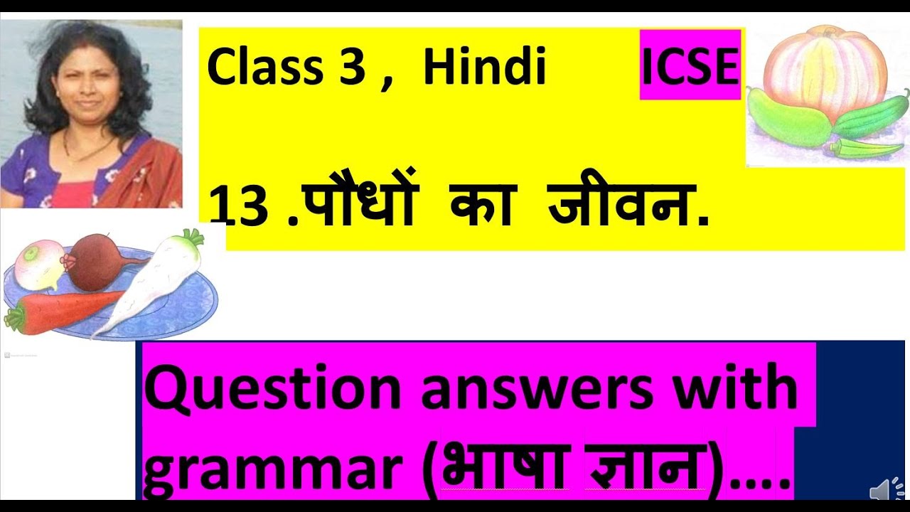 Class 3 ,  Hindi ,  ICSE,   13 .पौधों का जीवन.Question answers with grammar (भाषा ज्ञान)