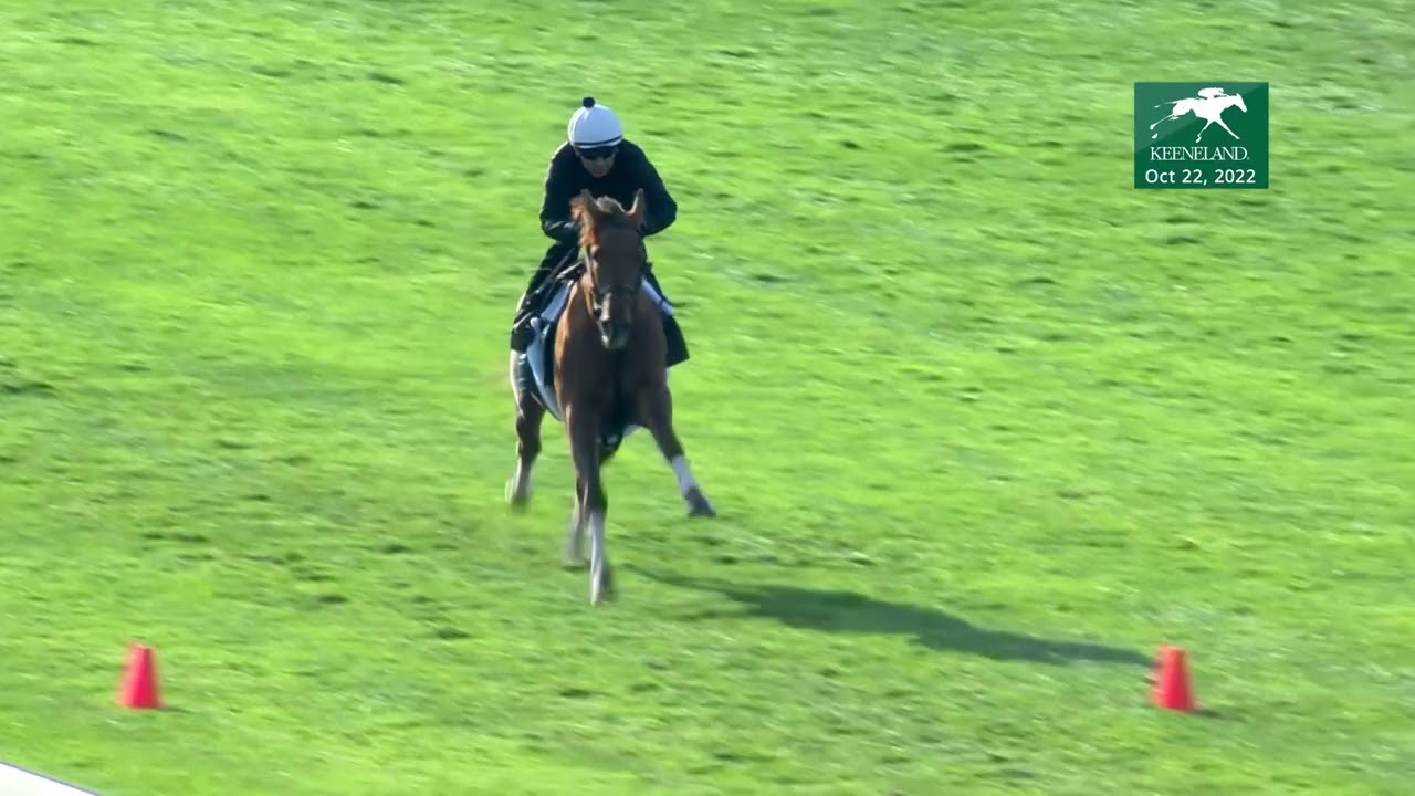 In Italian (GB) Works at Keeneland 10.22.2022