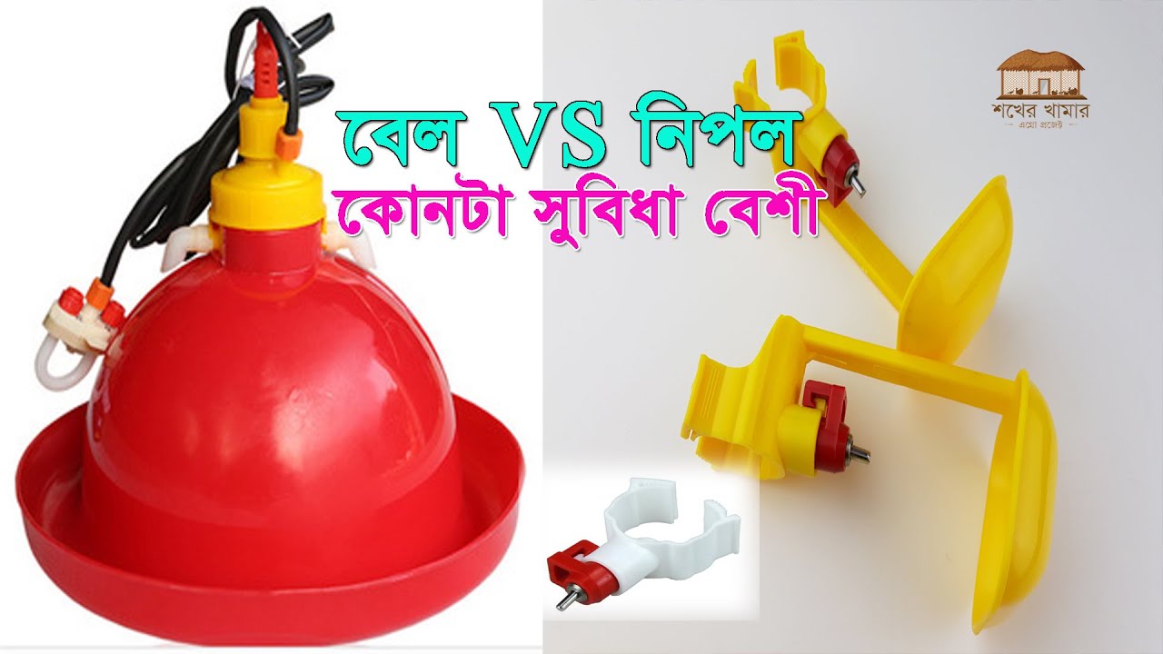 Nipple Drinker Vs Bell Drinker ।। 01988883103 ।। নিপল ড্রিংকার ভাল নাকি বেল ড্রিংকার ভাল