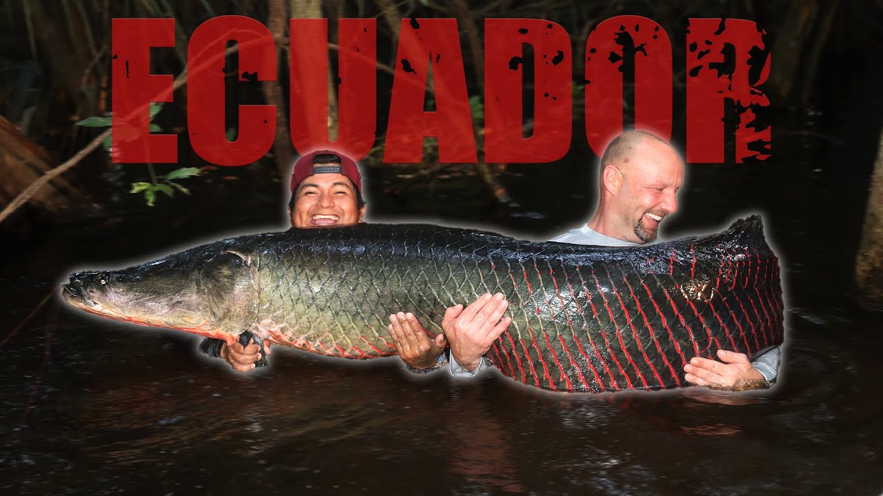 T2F Vlog #24 | Ecuador - Auf der Jagd nach dem Dschungelmonster | Teil 2