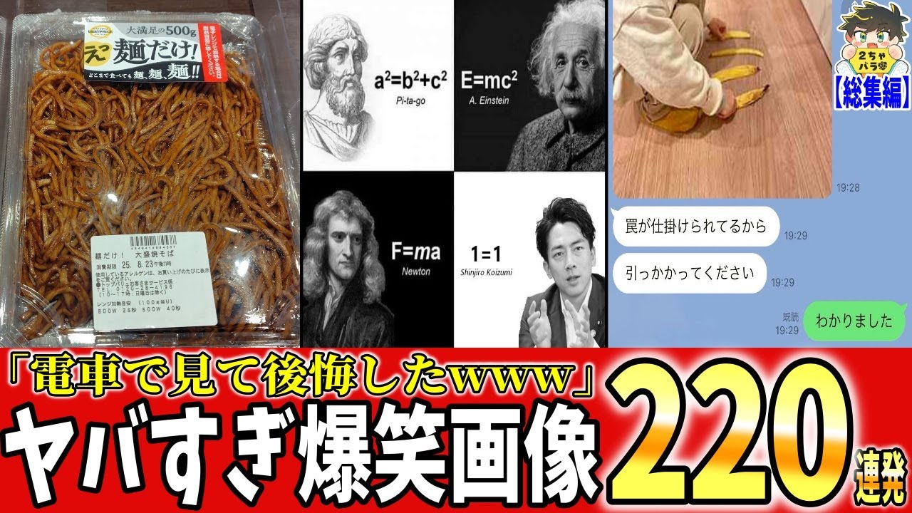 【一挙放送】2025年に紹介した爆笑画像220連発がツッコミどころ満載すぎるwww笑ったら寝ろwww【ゆっくり】