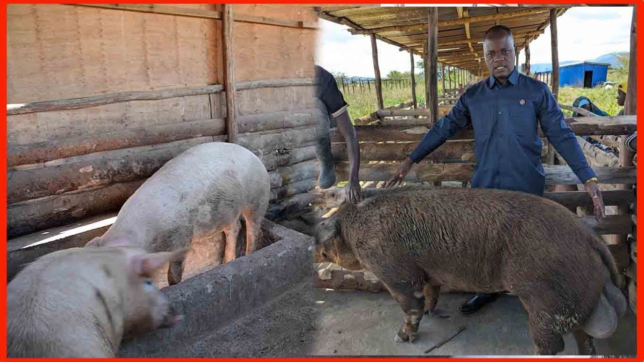 MR MANGURUWE AMEYATIMBA- SERIKALI YATOA TAMKO - 