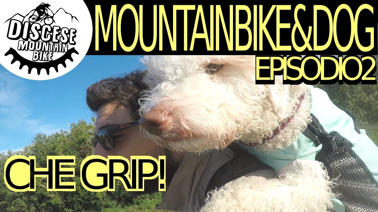 ZAINO PER CANE K9 UNA LAGOTTO NELLO ZAINO episodio 2