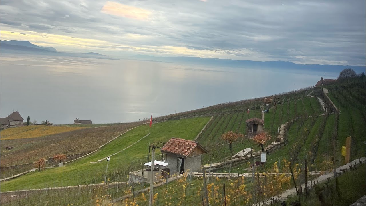 Lavaux by Train ❤️ 