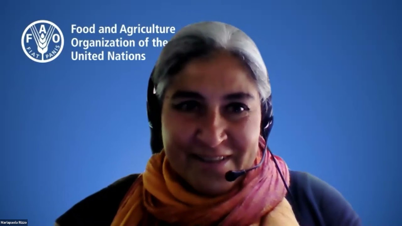 Open Tenure: A mapping tool to enhance REDD+ efforts, French version